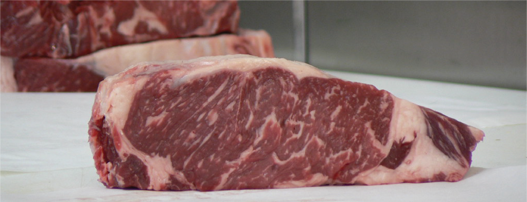 The Carnivore Diet